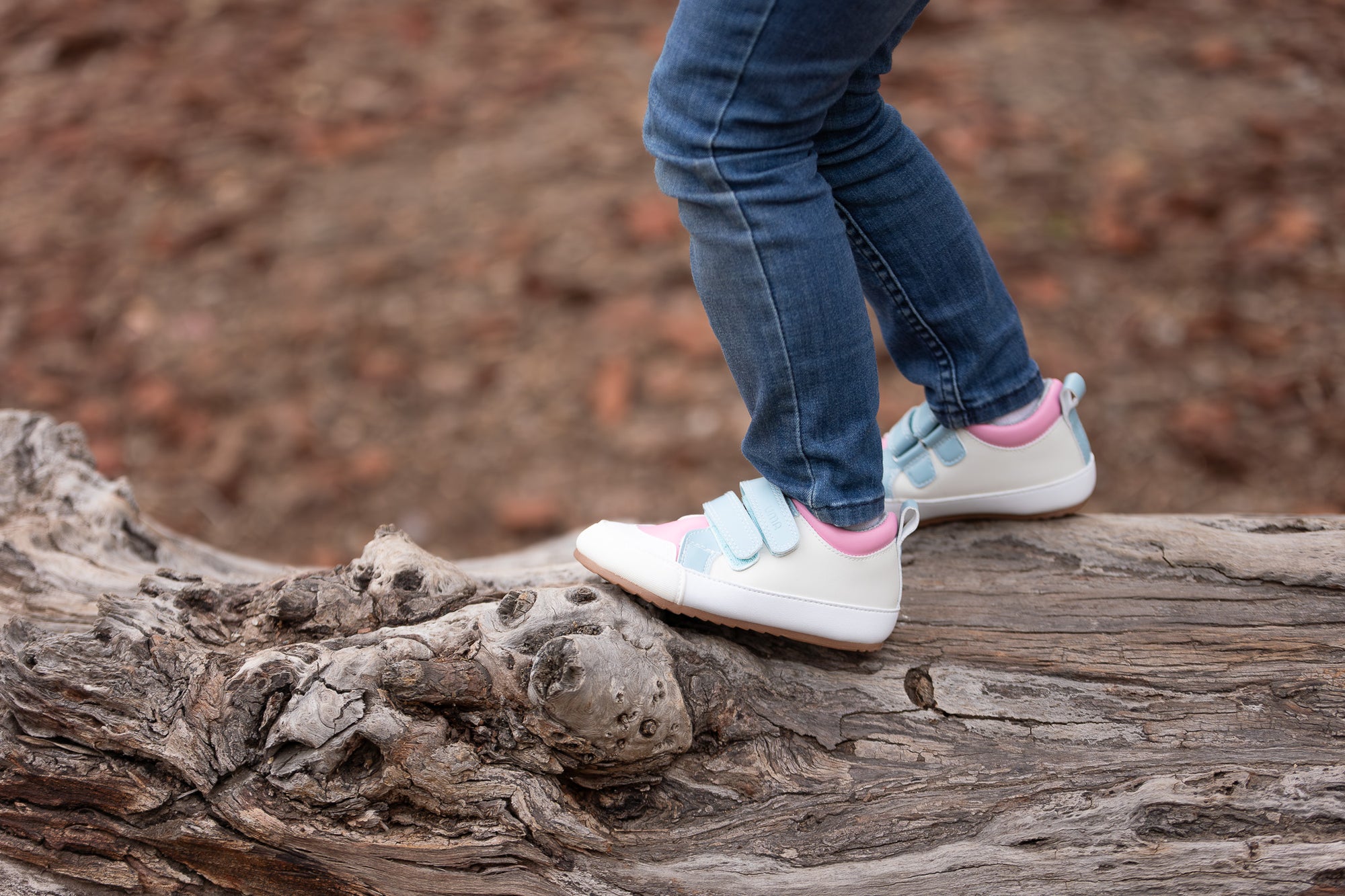 Leaf Colors Crema/Celeste - Toddler