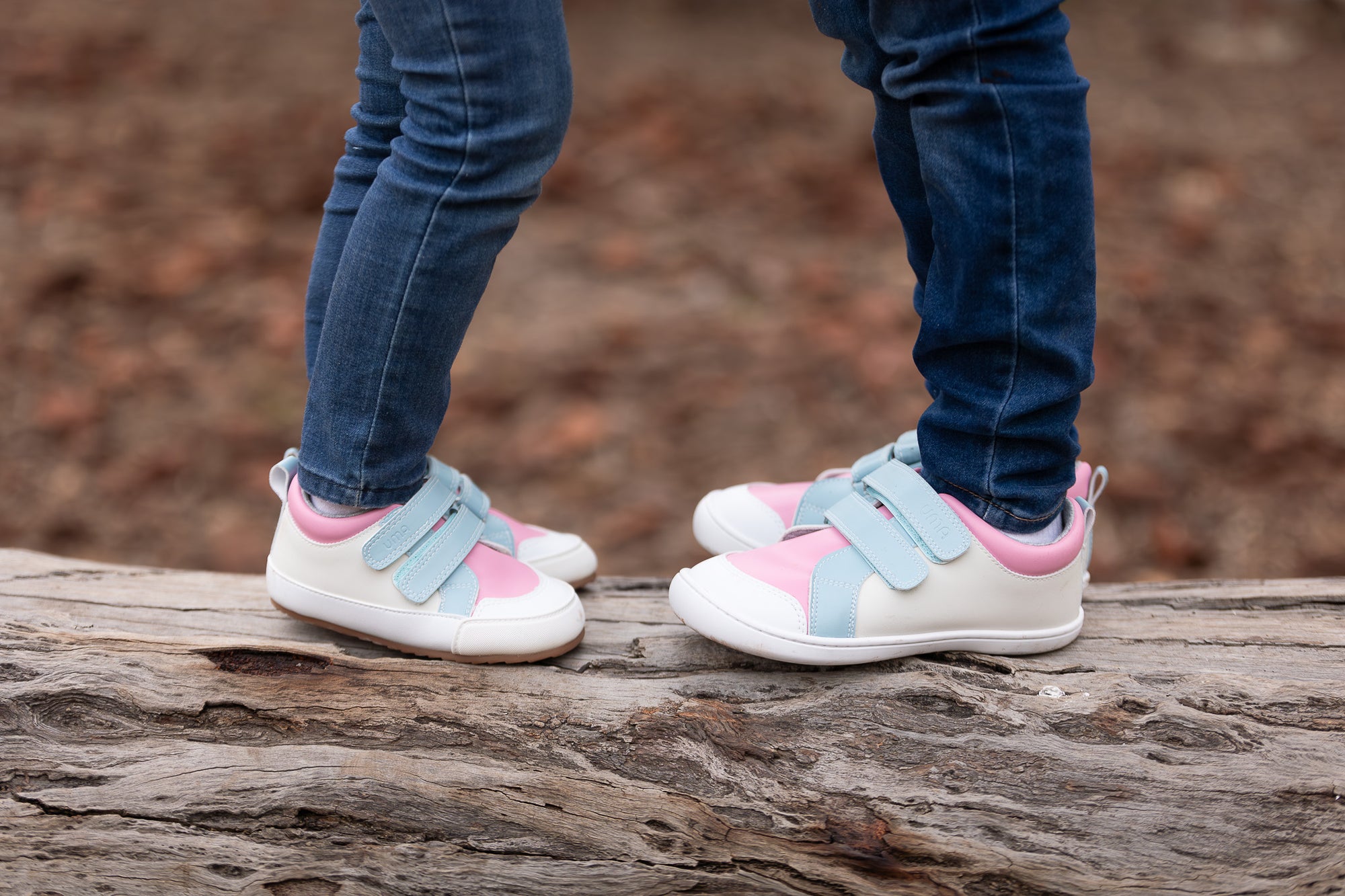 Leaf Colors Crema/Celeste - Toddler