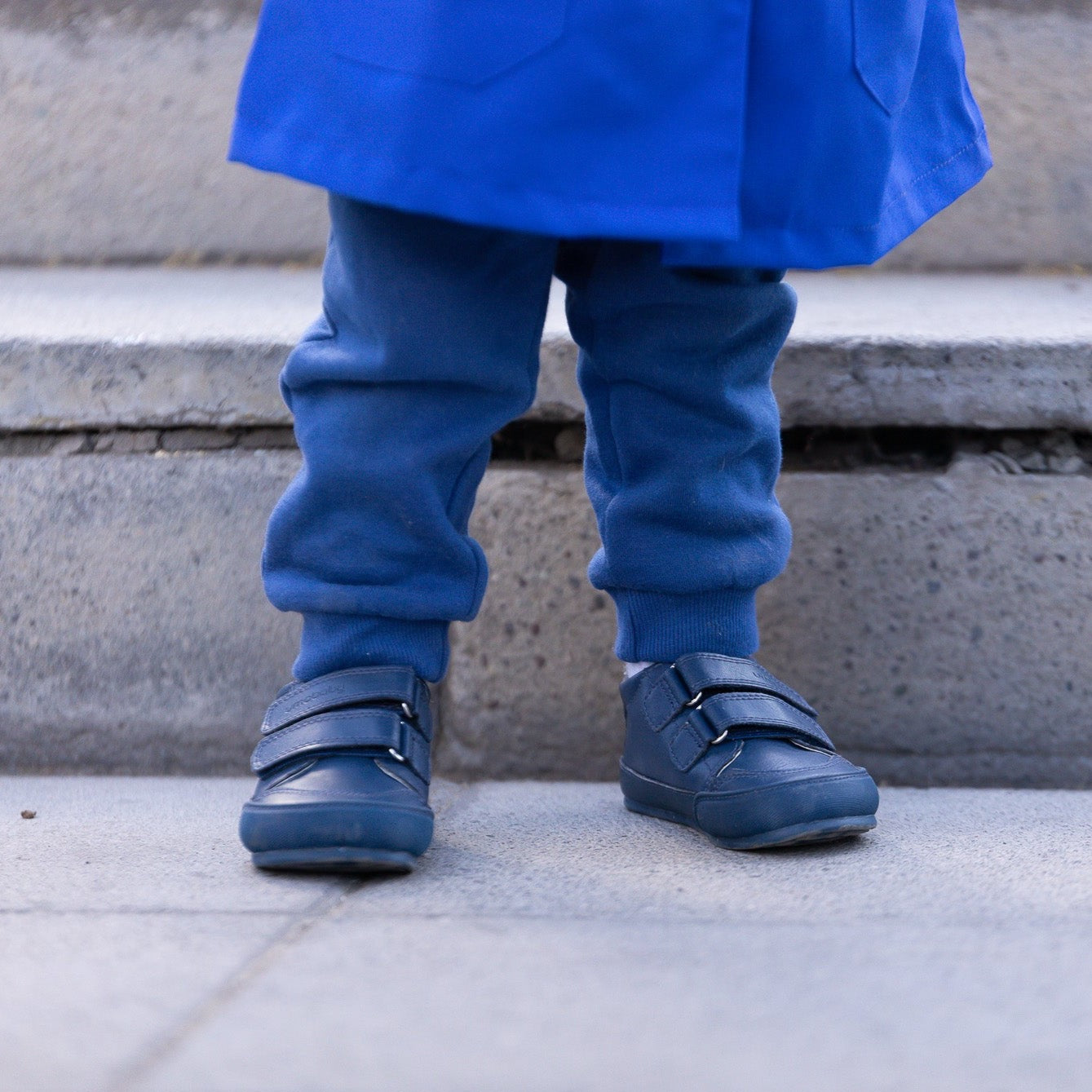 Leaf School Azul Marino - Toddler