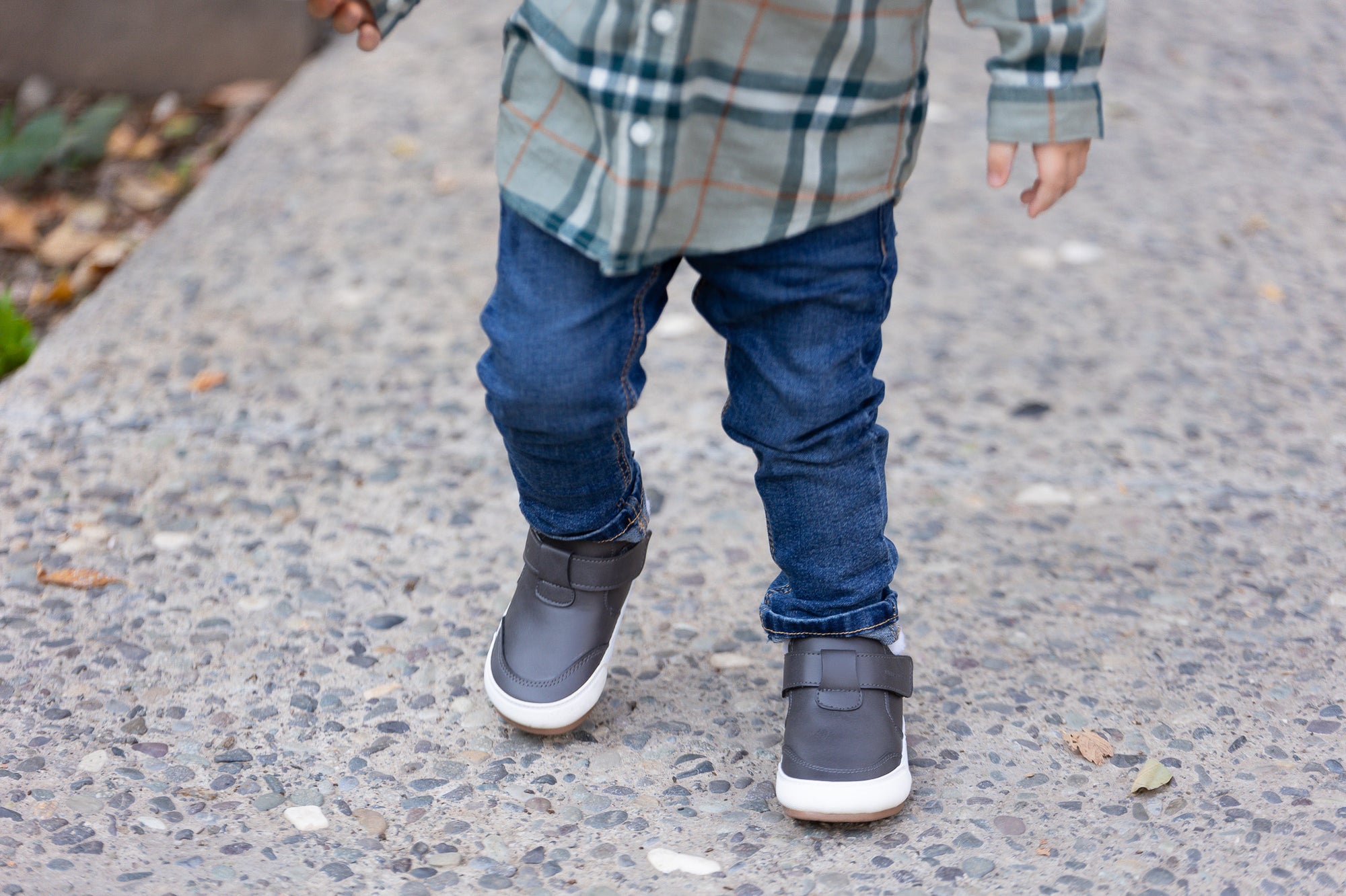 Arctic Grafito - Toddler