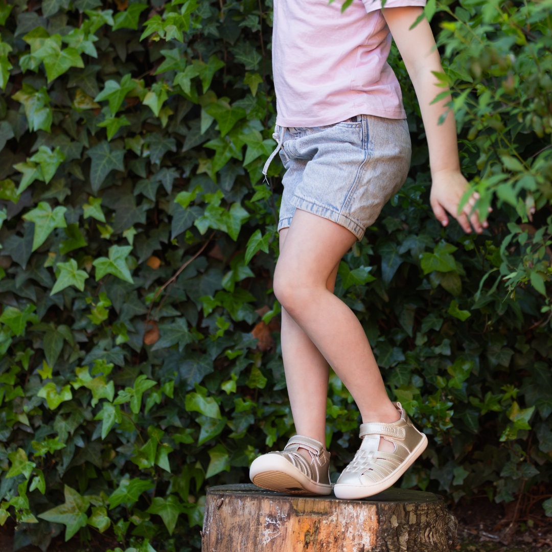 Willow Gold - Toddler