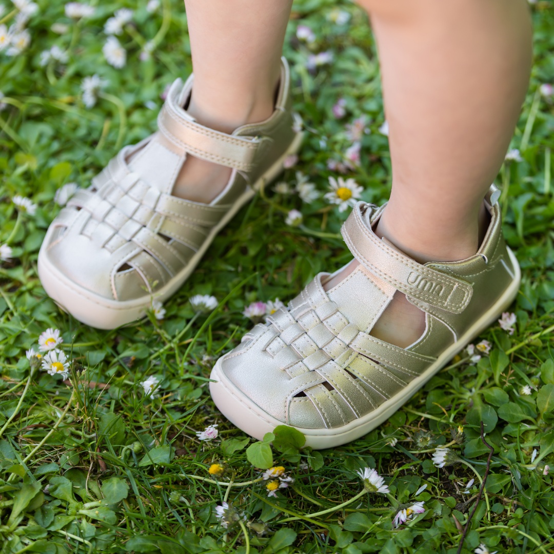 Willow Gold - Toddler