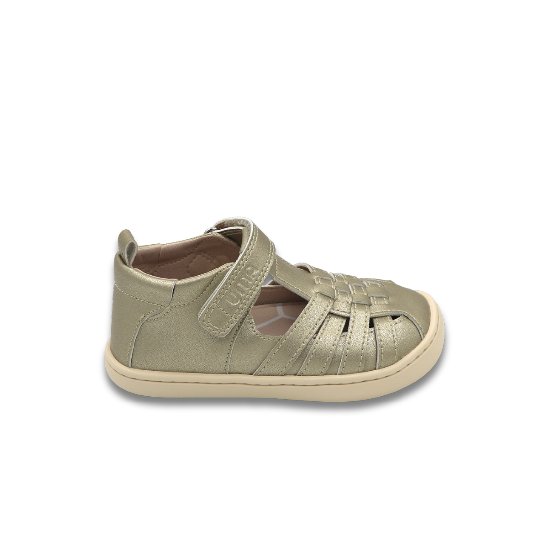 Willow Gold - Toddler