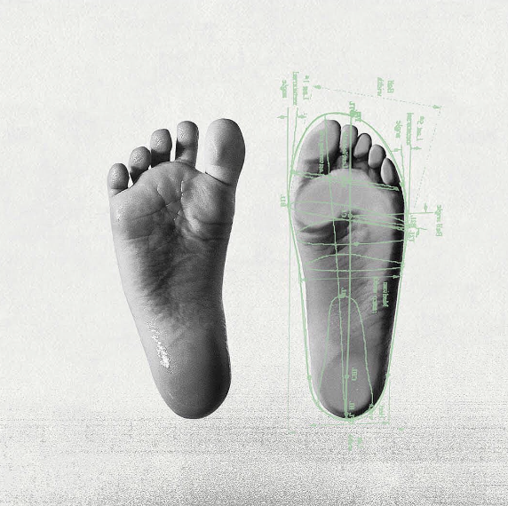 ¿Qué es el Toe Box?