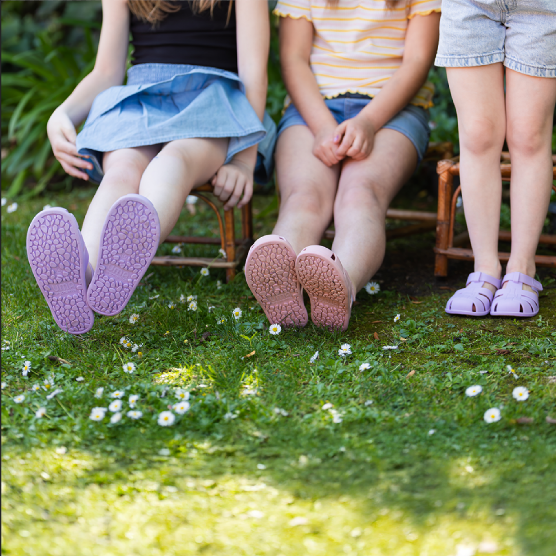 Cangrejera Lila - Kids