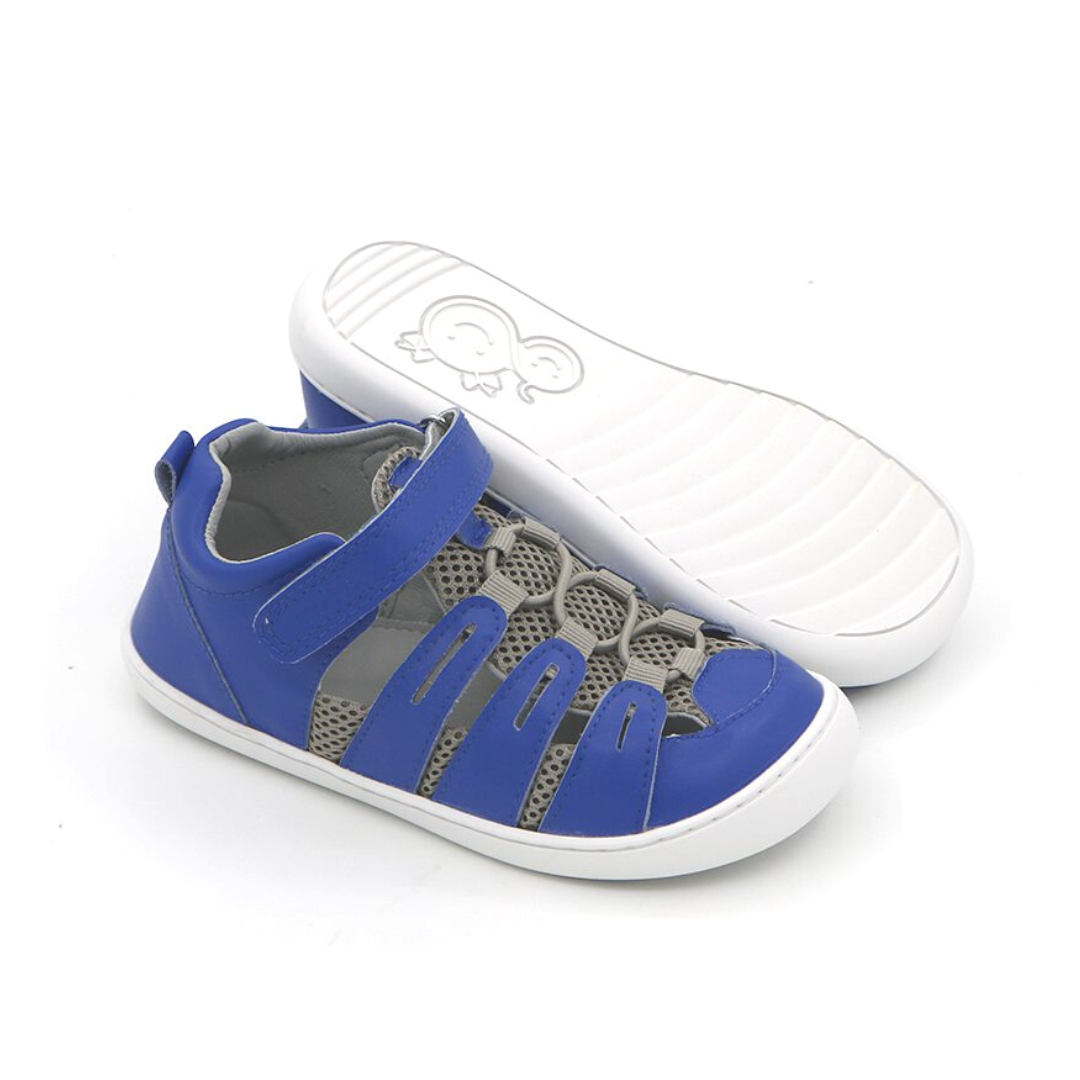 Xplorer Azulino - Kids